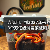 六部门：到2027年形成3个万亿级消费领域和10个千亿级消费热点