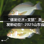 “银发经济+文旅”激发新动能！2025山东省文旅康养供需对接活动举办