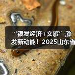 “银发经济+文旅”激发新动能!2025山东省文旅康养供需对接活动举办(图4) “银发经济+文旅”激发新动能!2025山东省文旅康养供需对接活动举办(图4)
