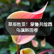 草原胜景！蒙鲁共绘西乌旗新画卷