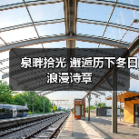 泉畔拾光 邂逅历下冬日浪漫诗章（图3）