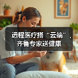 远程医疗搭“云端”，齐鲁专家送健康