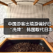 中国游客出境游偏好已“洗牌” 韩国取代日本成为最热目的地(图1) 中国游客出境游偏好已“洗牌” 韩国取代日本成为最热目的地(图1)