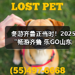 冬游齐鲁正当时!2025“畅游齐鲁 乐GO山东”冬季推广活动在青岛举办(图2) 冬游齐鲁正当时!2025“畅游齐鲁 乐GO山东”冬季推广活动在青岛举办(图2)