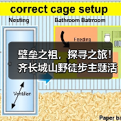 壁垒之祖,探寻之旅!齐长城山野徒步主题活动在泰安举办(图1) 壁垒之祖,探寻之旅!齐长城山野徒步主题活动在泰安举办(图1)