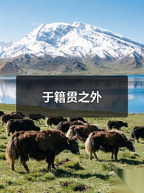 于籍贯之外(图3) 于籍贯之外(图3)